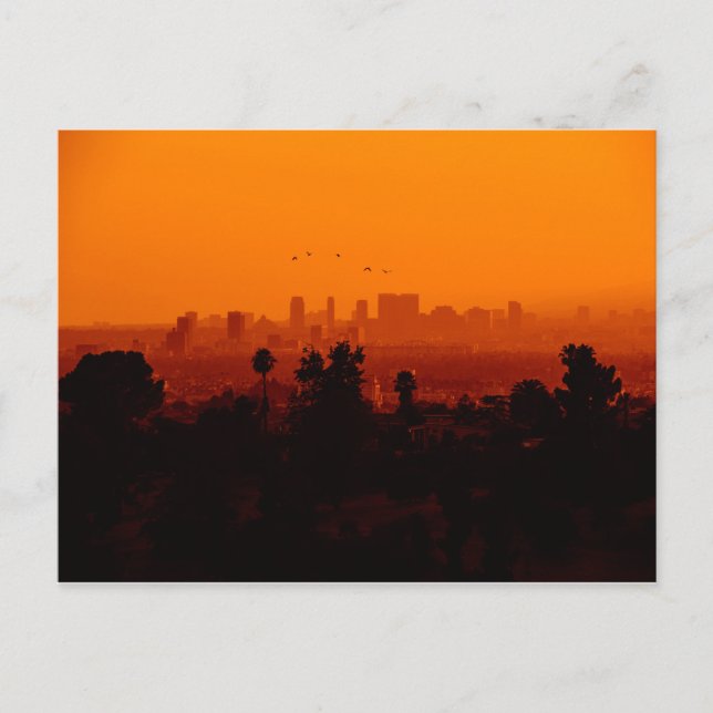 Fåglar i Flykt (Los Angeles, CA) Vykort (Framsida)