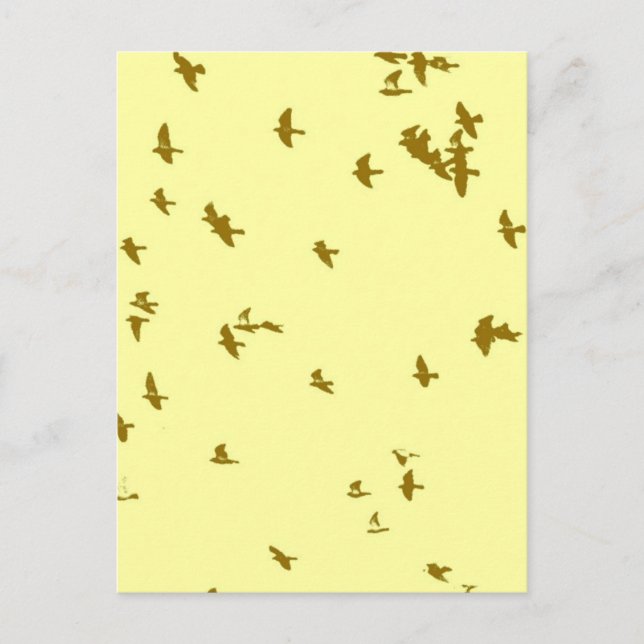 Fåglar i Himlar Vykort (Framsida)