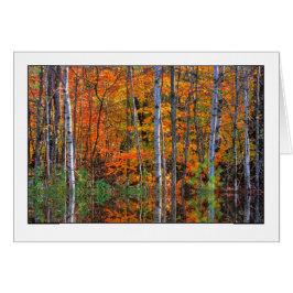 Fåglar i högvatten hälsningskort