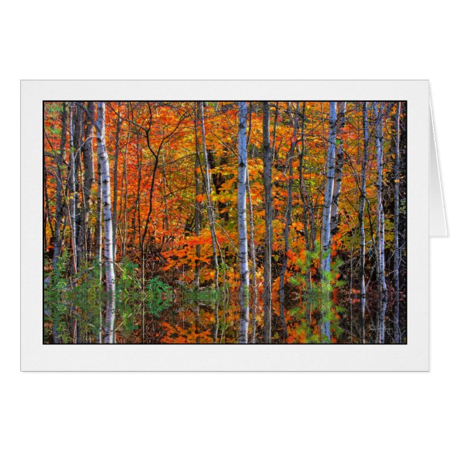 Fåglar i högvatten hälsningskort (Framsidan Horizontal)