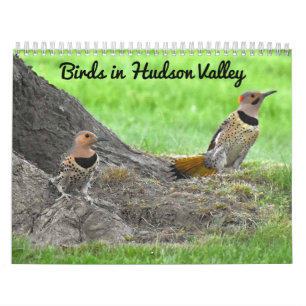 Fåglar i Hudson Valley Kalender
