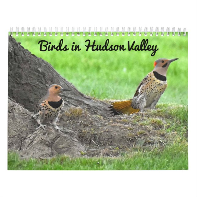 Fåglar i Hudson Valley Kalender (Omslag)