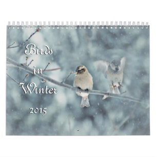 Fåglar i kalender för vinter 2015