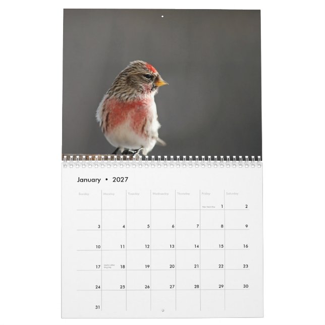 Fåglar i kalender för vinter 2015 (Jan 2027)