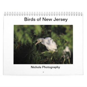 Fåglar i New jersey Kalender