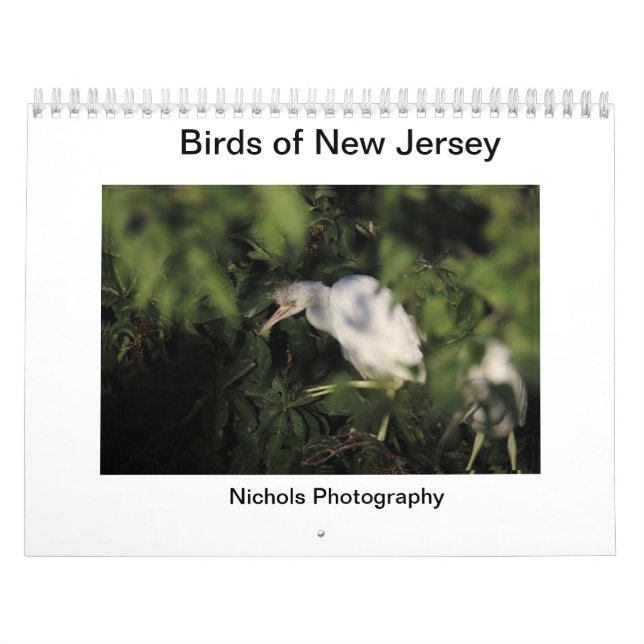Fåglar i New jersey Kalender (Omslag)