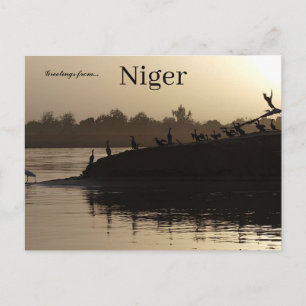 Fåglar i Niamey Niger Vykort