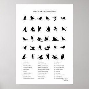 Fåglar i nordväst (med namn) poster
