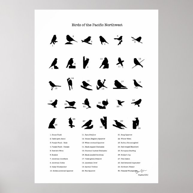 Fåglar i nordväst (med namn) poster (Framsidan)