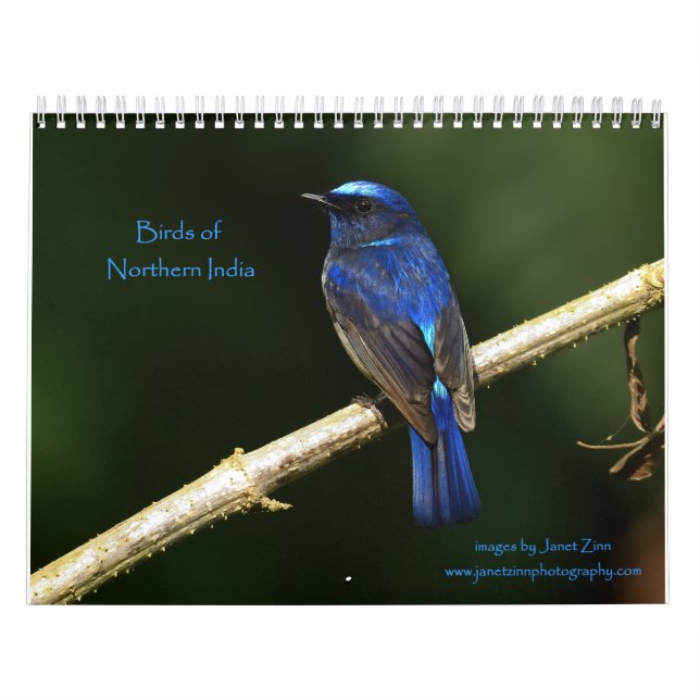 Fåglar i norra Indiens kalender (Omslag)