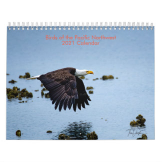 Fåglar i Pacific Northwest 2021 Calendar Kalender