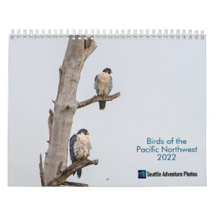 Fåglar i Pacific Northwest 2022 Calendar Kalender