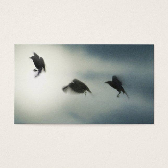 Fåglar i Rörelse Visitkort (Framsidan)