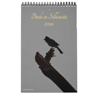 Fåglar i Silhouette 2026 Wildlife Nature Photo Kalender