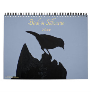 Fåglar i Silhouette Nature Photography 2026 Photo Kalender