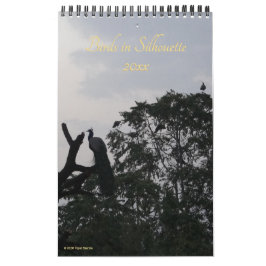 Fåglar i Silhouette Nature Photography 2026 Wall Kalender