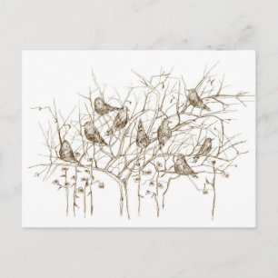 Fåglar i Träd Sepia Pen och Bläck Sketch Vykort