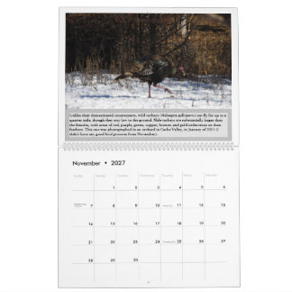 Fåglar i Utah 2027 Kalender