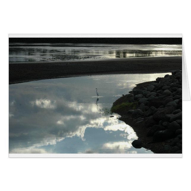 Fåglar i Vatten Hälsningskort (Framsidan Horizontal)