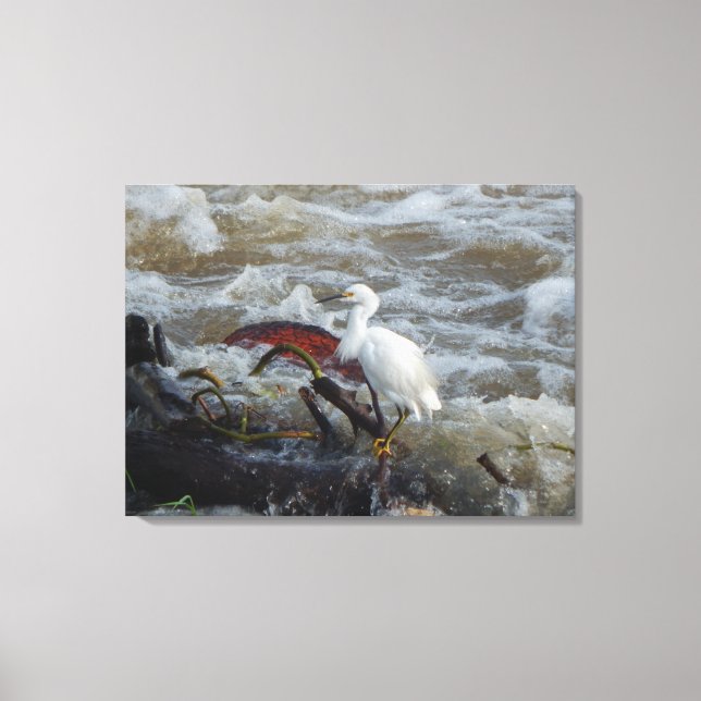 FÅGLAR I VILDEN #1 PÅ CANVAS 20 "x 16" (Framsida)
