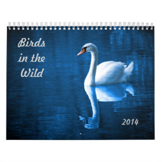 Fåglar i vilden kalender