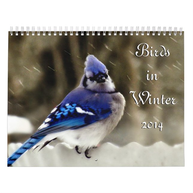 Fåglar i vinter kalender (Omslag)