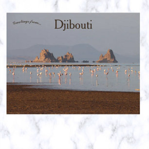 Fåglar i vykort i Djibouti