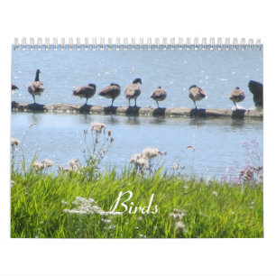 Fåglar Kalender