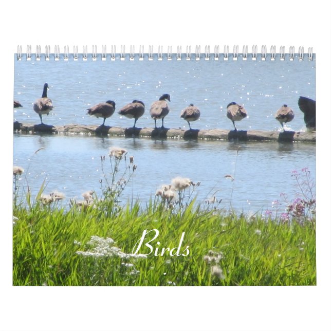 Fåglar Kalender (Omslag)
