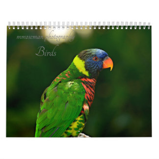 Fåglar Kalender