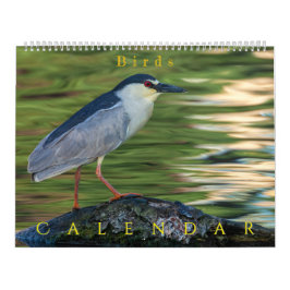 Fåglar Kalender