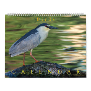 Fåglar Kalender