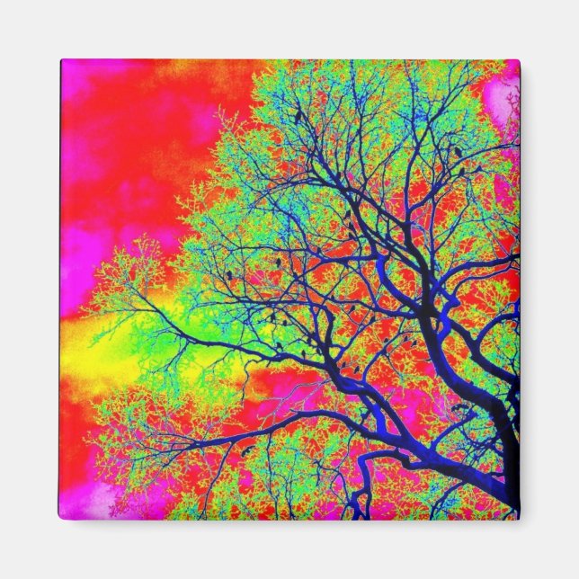 Fåglar Magnet (Framsidan)