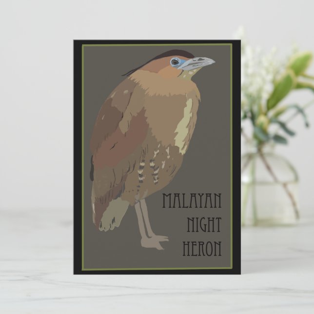 Fåglar - Malayan Night Heron Card Julkort (Stående Fram)