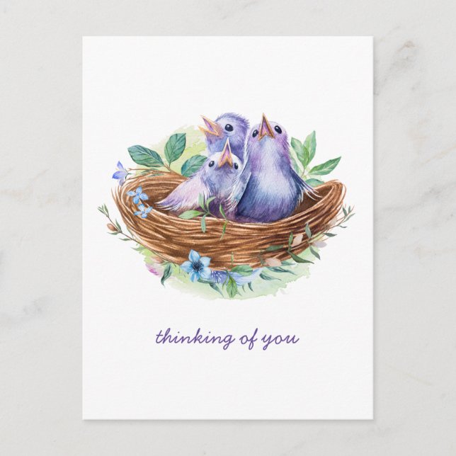 Fåglar med färgstark Vår Baby i ditt bo. Vykort (Framsida)