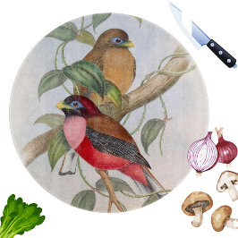 Fåglar med färgstark Vintage Illustrationsskärmar