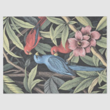 Fåglar med fetstil Illustration