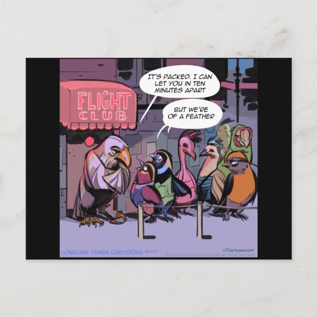 Fåglar med ludd vykort (Framsida)