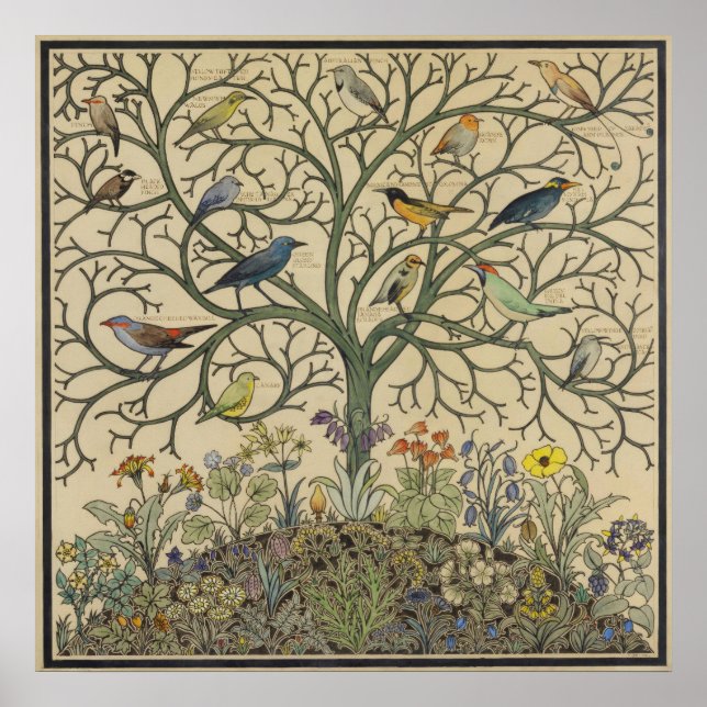 Fåglar med många klimat av C.F.A. Voysey Poster (Framsidan)