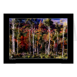 Fåglar mot Färg-kort Hälsningskort