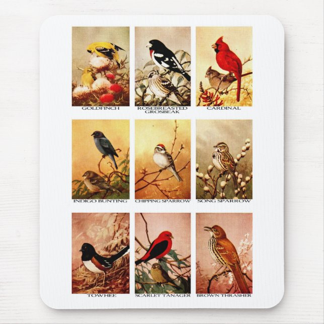 Fåglar Musmatta (Framsidan)