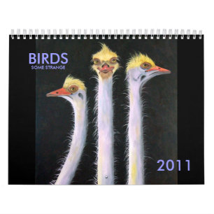 FÅGLAR NÅGOT KONSTIGT, 2011 KALENDER