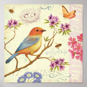 Fåglar och bin poster