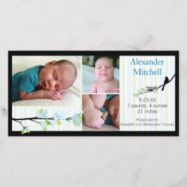 Fåglar och Blommar i meddelandet om blåsans födels Meddelande