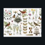 fåglar och blommor för modern vintage franska vykort<br><div class="desc">fåglar och blommor för modern vintage franska botaniska</div>