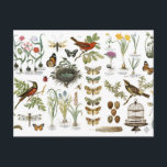 fåglar och blommor för modern vintage franska vykort<br><div class="desc">fåglar och blommor för modern vintage franska botaniska</div>