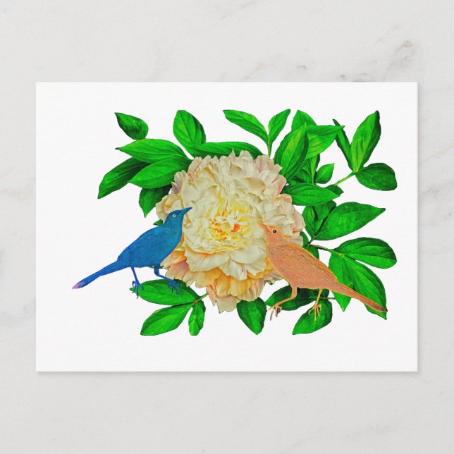 Fåglar och blommor Poster Vykort (Framsida)