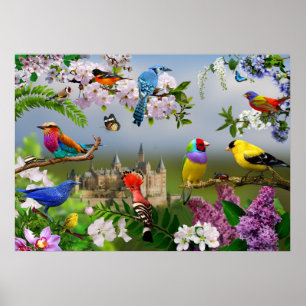 Fåglar och blommor Vackert med fåglar Poster