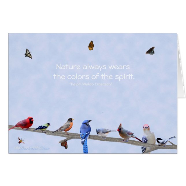 Fåglar och fjärilar bära färg av spriten: hälsningskort (Framsidan Horizontal)