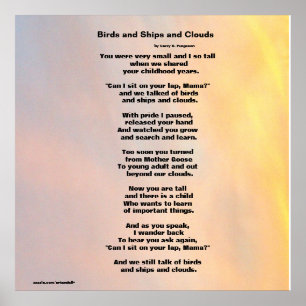 "FÅGLAR OCH FRAKTASER OCH STÄDERFAMILJEFAMILJEN PO POSTER